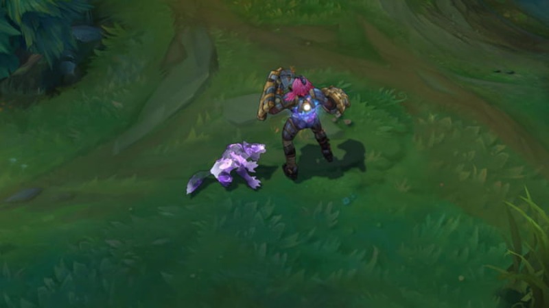 skin pet jungle 