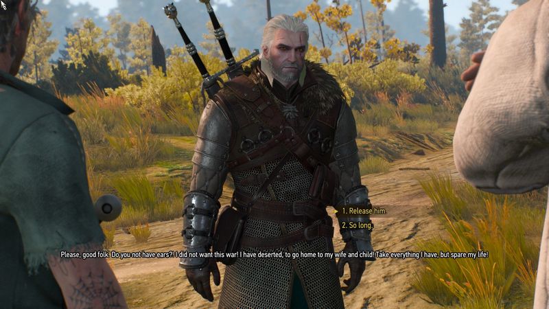 the witcher 3