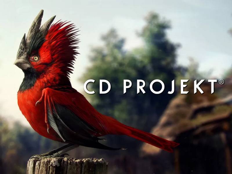 game cd projekt red